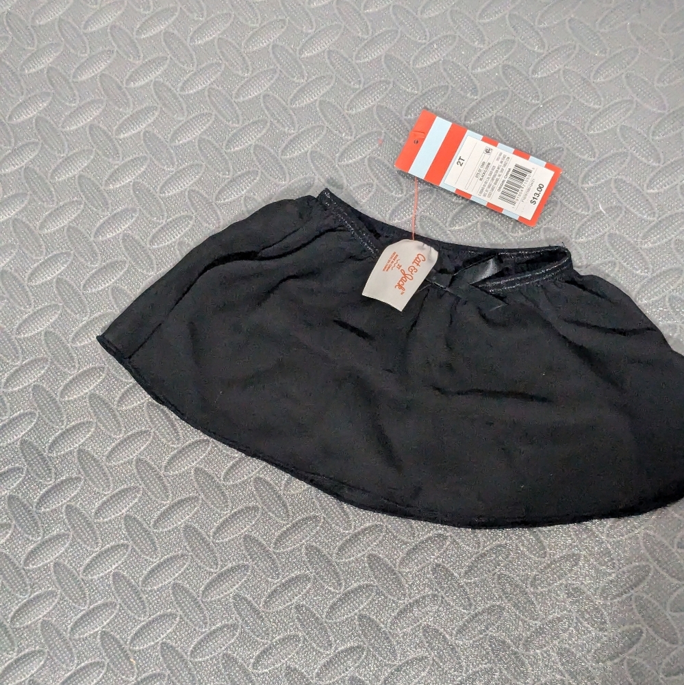 2 T ballet skirt
